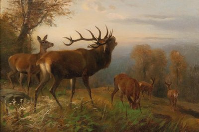 Herd of Red Deer by Carl Friedrich Deiker